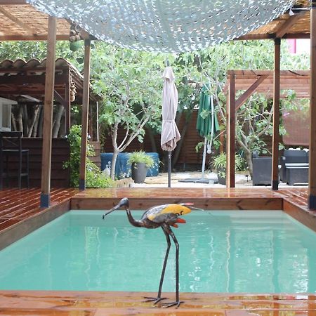 Les 2 Droles D'Oiseaux Bed & Breakfast Luc-sur-Orbieu Dış mekan fotoğraf